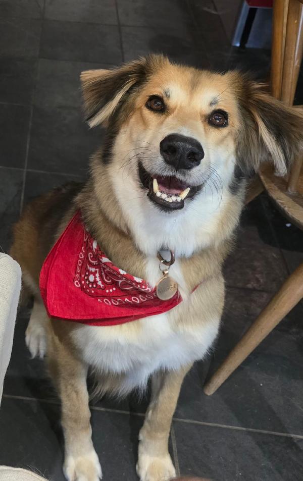 ✨ Maggie, La Forza Di Chi Ha Conosciuto Il Dolore Ma Sogna Solo Amore ✨